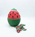 Watermelon Hatchling Dragon + Egg